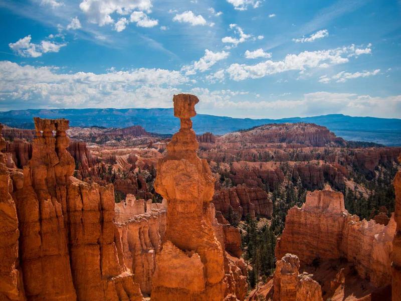 sudoku bifurcation screenshot 4